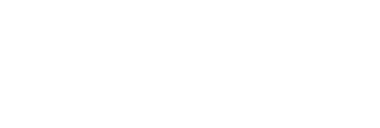 Microsoft Partner